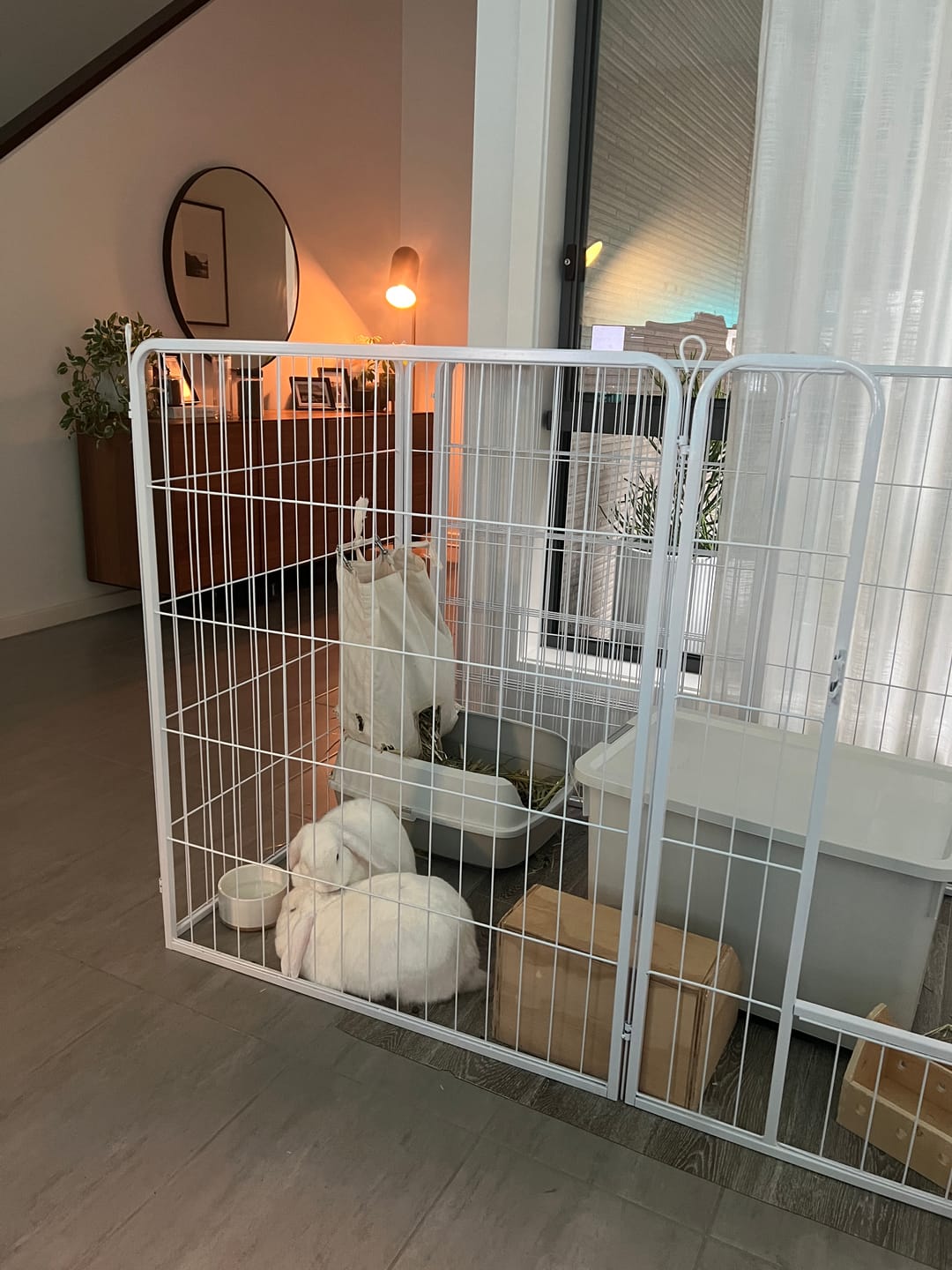 Customer photo review of PaWz 8 Panel Playpen White