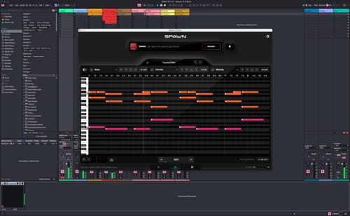 Customer photo review of Spawn Plugin