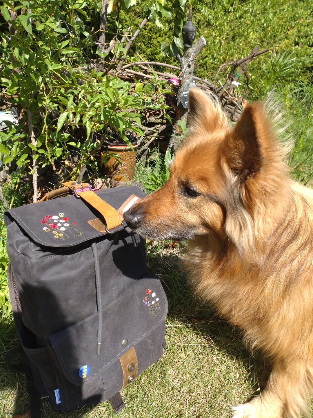 Customer photo review of Daypack Acadia - Wildblüte (🌲)