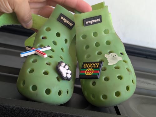 Customer photo review of WagWellies® Mojave