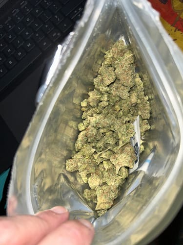 Customer photo review of Value Indoor Smalls