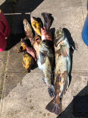 Customer photo review of Fisherman's Life® Vertical Jigs 100g, 150g, 200g, 300g FOUR COLORS available