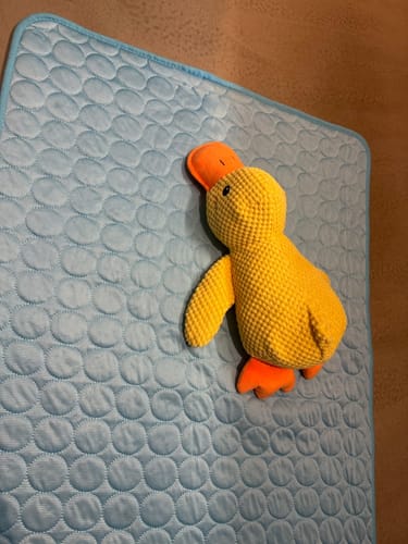 Customer photo review of Anti-Stress Ente