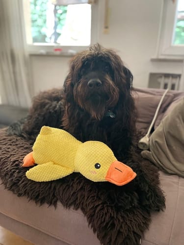 Customer photo review of Anti-Stress Ente