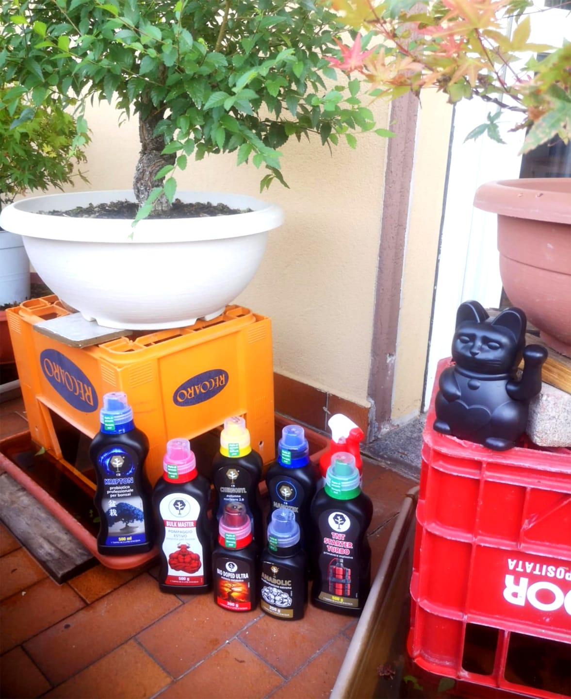 Customer photo review of PROTOCOLLO NUCLEARE CB®