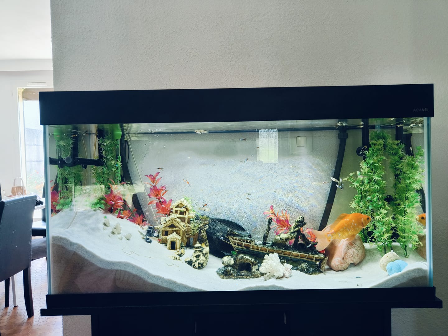 Customer photo review of Aquarium Opti Set 200 Noir AQUAEL - 200L