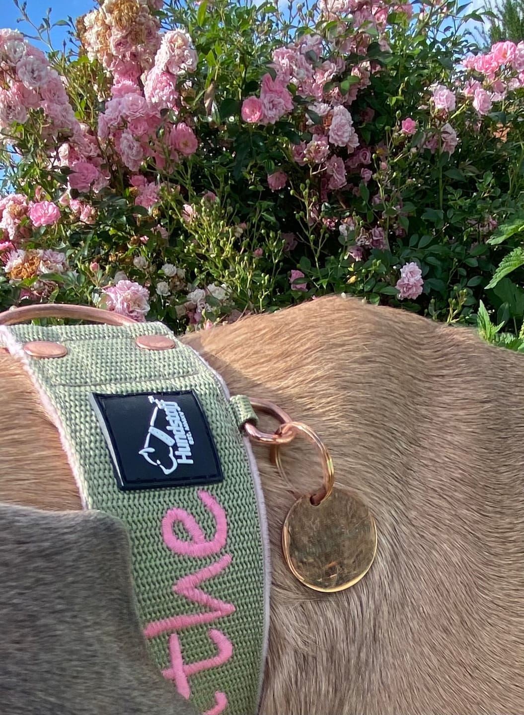 Customer photo review of Namnbricka hund - ID tags