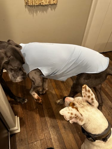 Customer photo review of Sunblock T-Shirt 3 Pack