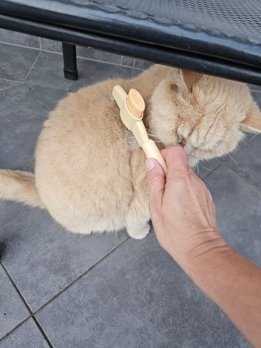 Customer photo review of Fellblitz-Bürste