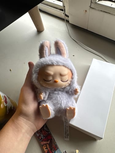 Customer photo review of Pop Mart THE MONSTERS Labubu - Have a Seat Vinyl Plush Blind Box