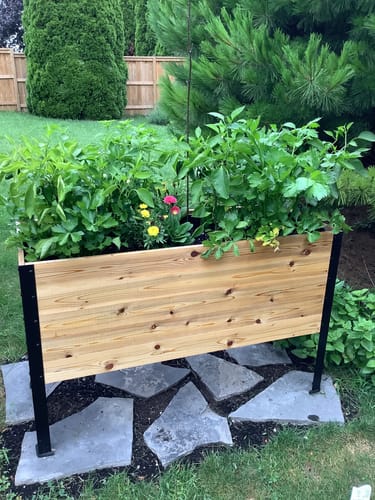 Customer photo review of 18" x 48" Raised Garden Bed - 30" TALL