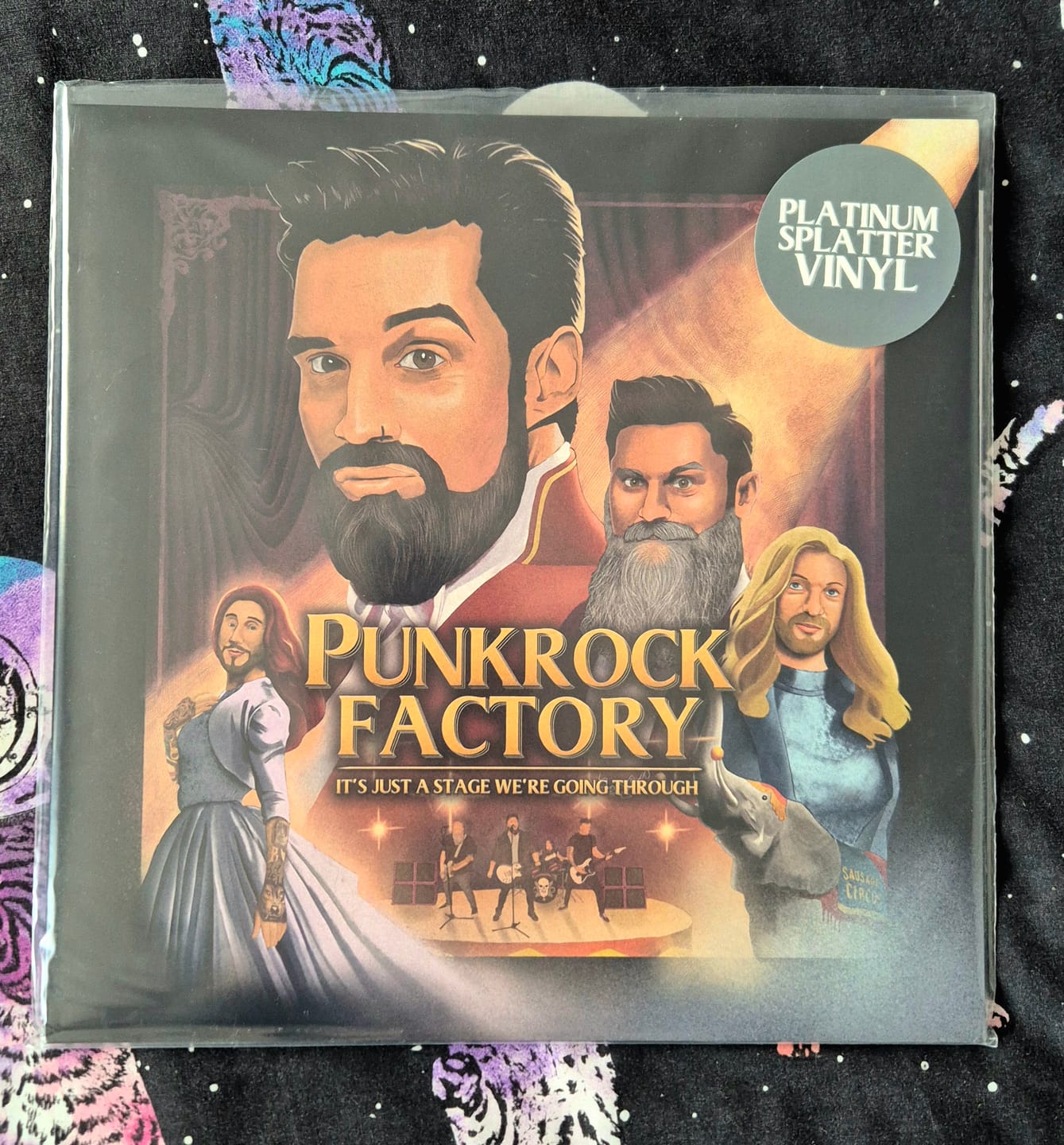 Customer photo review of It's Just a Stage We're Going Through Vinyl