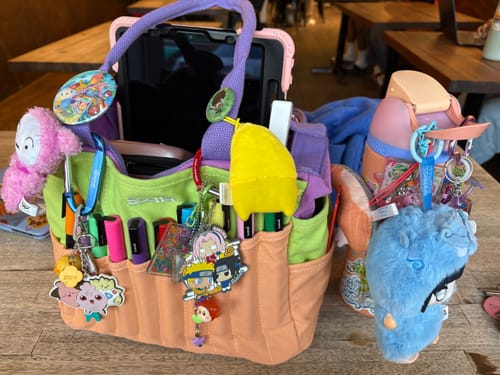 Customer photo review of Soolla® Studio Bag, Sarah Anderson