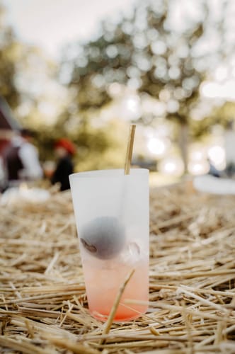 Customer photo review of Orange Sunset 24-pack