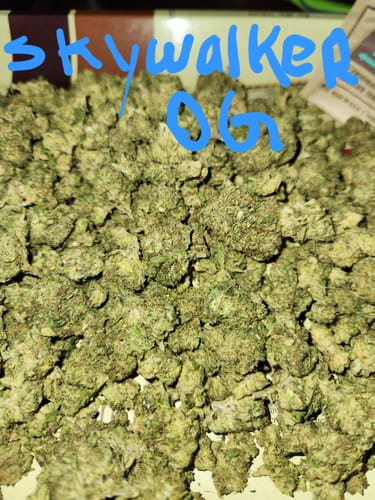 Customer photo review of Cheap THCA Flower Quarter Pound