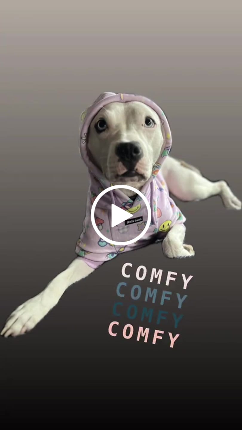 Customer video review of Good Vibes Dog Hoodie - Purple