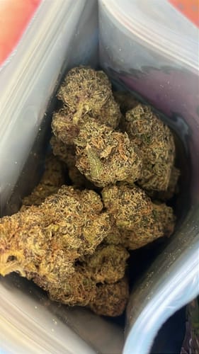 Customer photo review of Thin Mint Cookies - 28 Grams - Hybrid