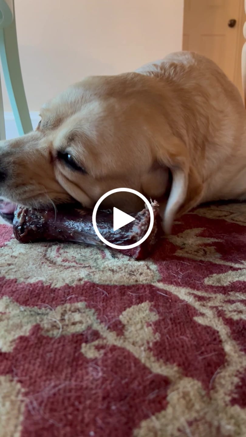 Customer video review of Hickory Smoked Bully Sticks