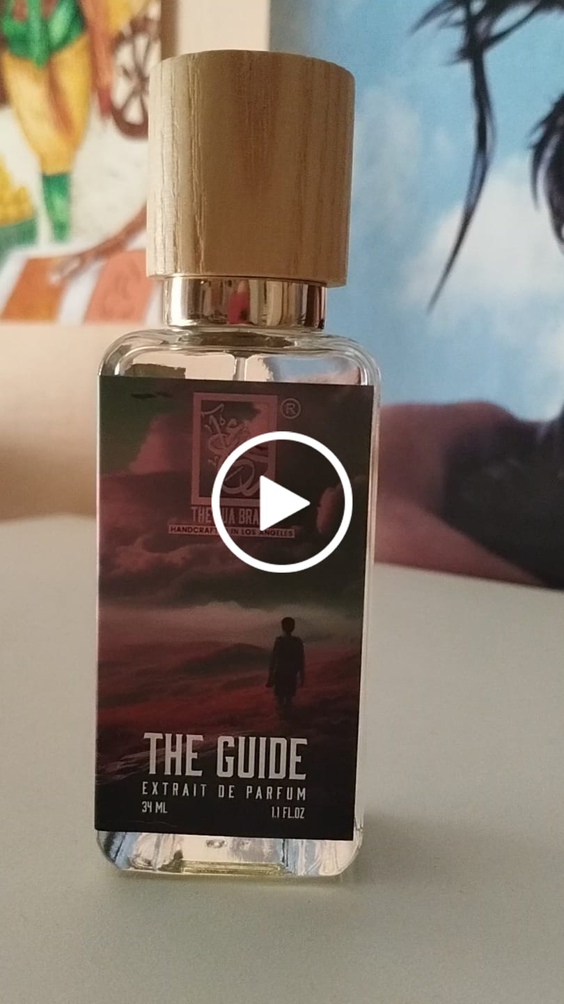 Customer video review of The Guide
