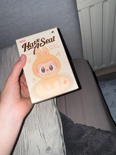 Customer photo review of Pop Mart THE MONSTERS Labubu - Have a Seat Vinyl Plush Blind Box