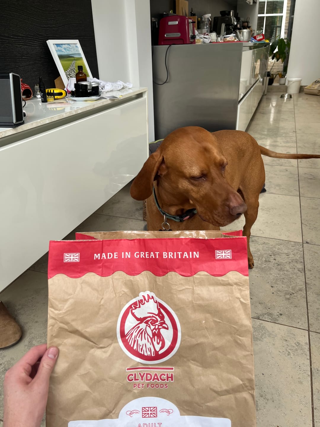 Customer photo review of British Venison Dry Food