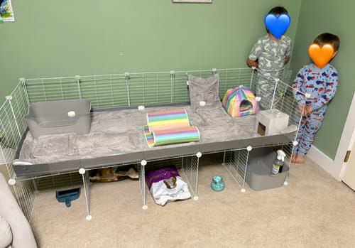 Customer photo review of 5x2 C&C Cage with Stand