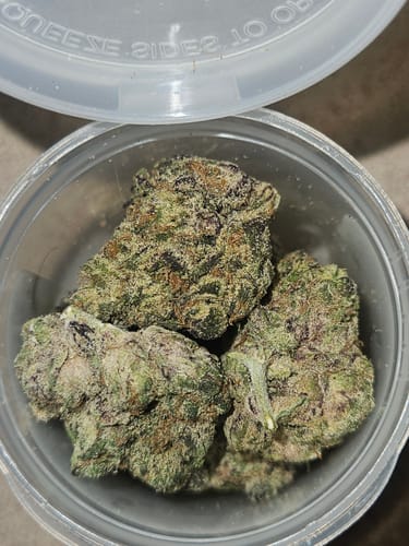 Customer photo review of Rainbow Inferno