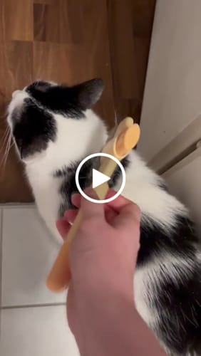 Customer video review of Fellblitz-Bürste