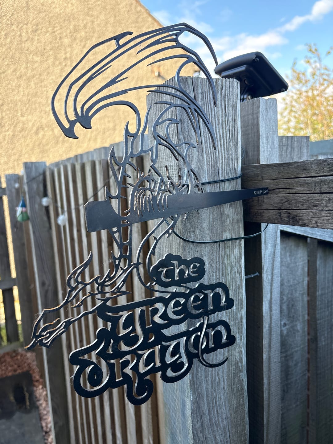 Customer photo review of THE GREEN DRAGON™