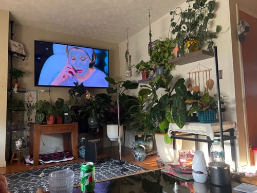 undefined review of Fungus Gnat Death Drops image 1 out of 1