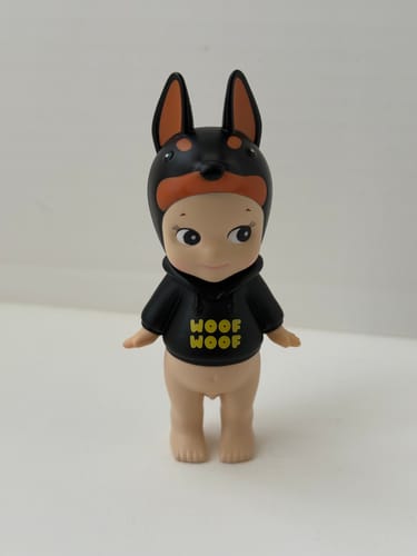 Customer photo review of Sonny Angel Dog Time Series Blind Box