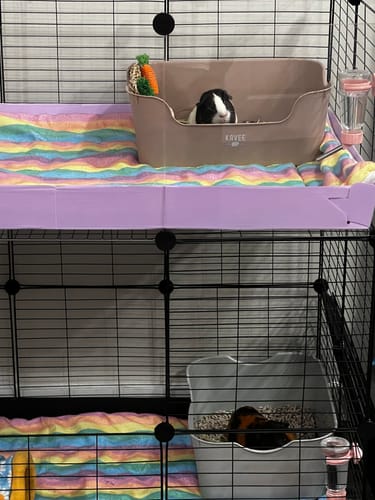 Customer photo review of The Super Pooper for Every Floofer | Litter Tray for Guinea Pigs and Rabbits