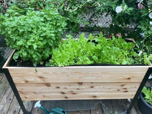 Customer photo review of 18" x 48" Raised Garden Bed - 30" TALL