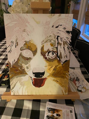 Customer photo review of Custom Paint By Numbers Kit - Upload Your Photo - Brush Set Included