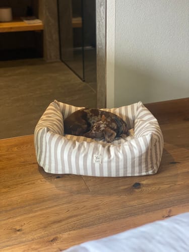 Customer photo review of Divanetto Cotone Righe Larghe Marrone