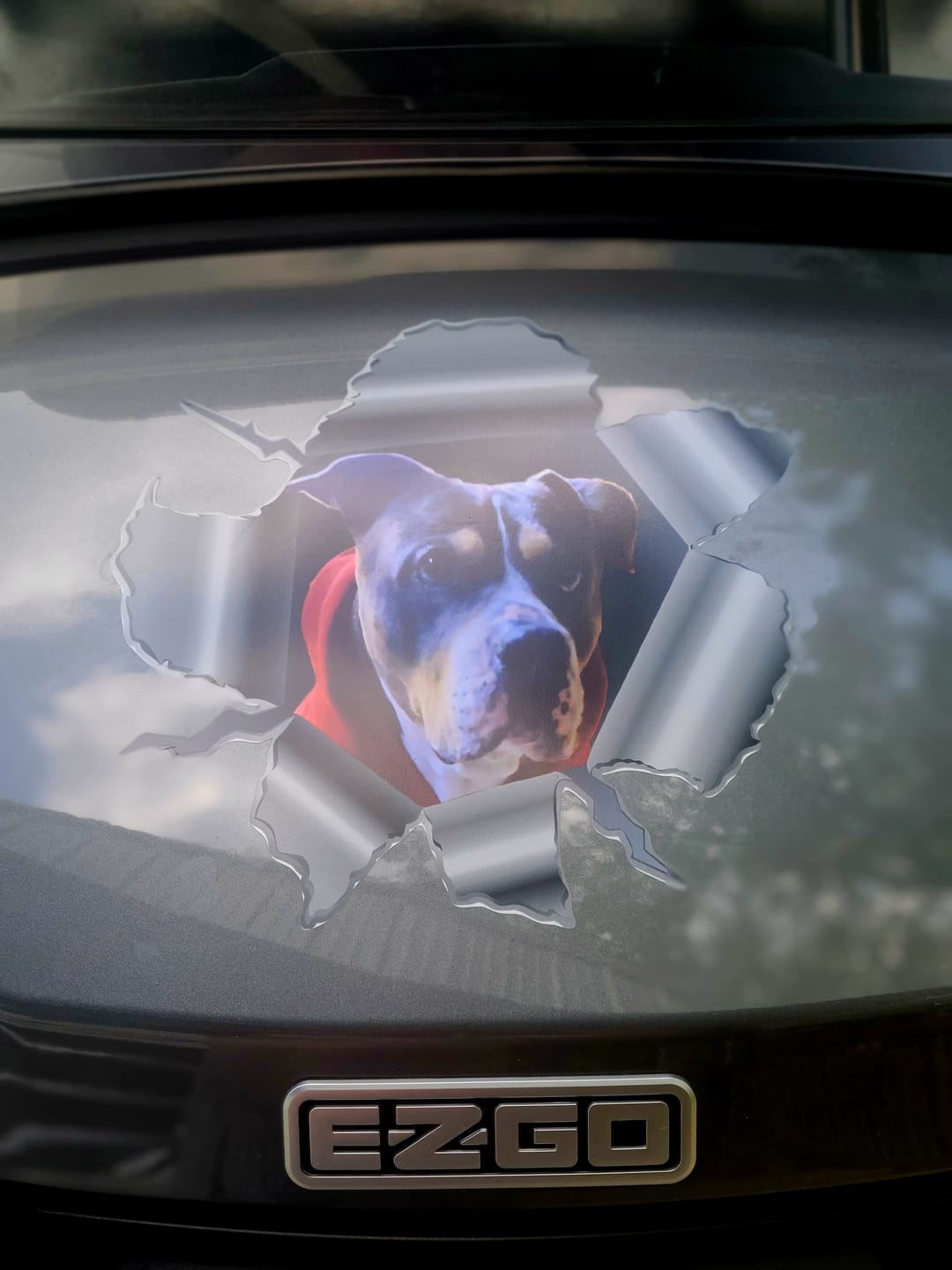Customer photo review of Peeking photo – Personalized Car Sticker