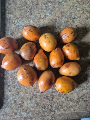 Customer photo review of Achacha (Achachairú)