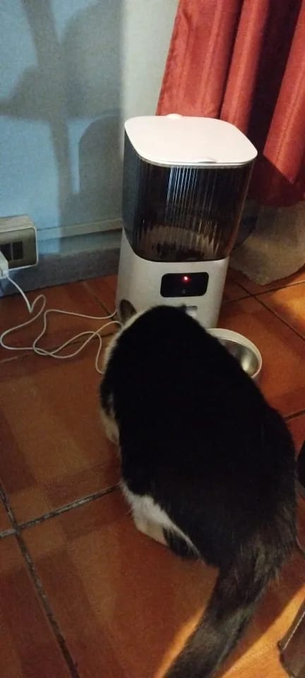 Customer photo review of 5L Double Bowls Smart Automatic Camera Feeder for Cat and Dog