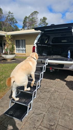 Customer photo review of Foldable Aluminum Pet Steps