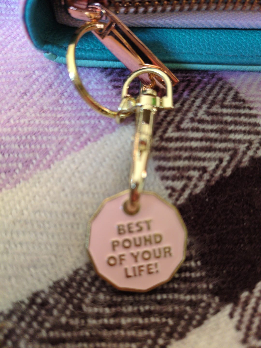 Customer photo review of Freebie Best Pound of Your Life - Trolley Coin