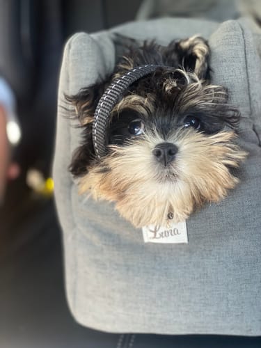 Customer photo review of Borsa Mattias Grigio Antracite (Soft Touch)