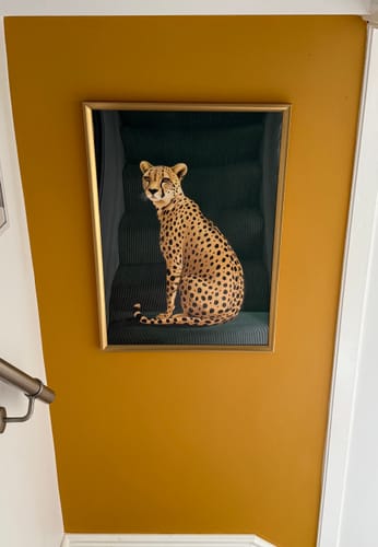 Customer photo review of Yellow Cheetah on Green No2 Print