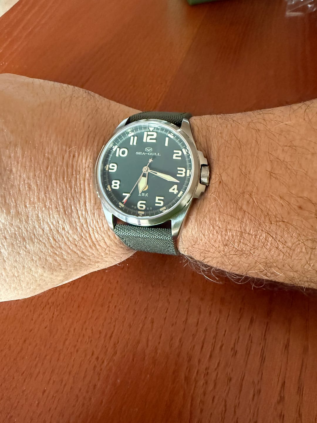 Customer photo review of Vintage | Military Watch | Luminous | 100m Waterproof | Pilot | 43mm