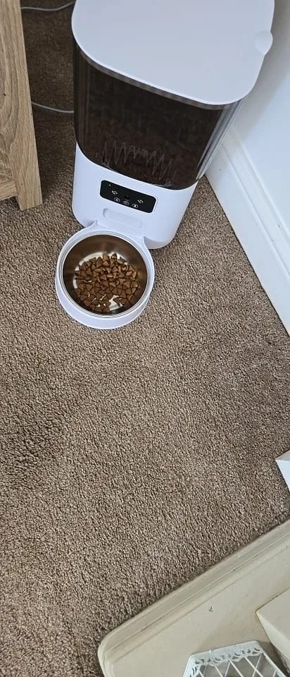 Customer photo review of 5L Double Bowls Smart Automatic Camera Feeder for Cat and Dog