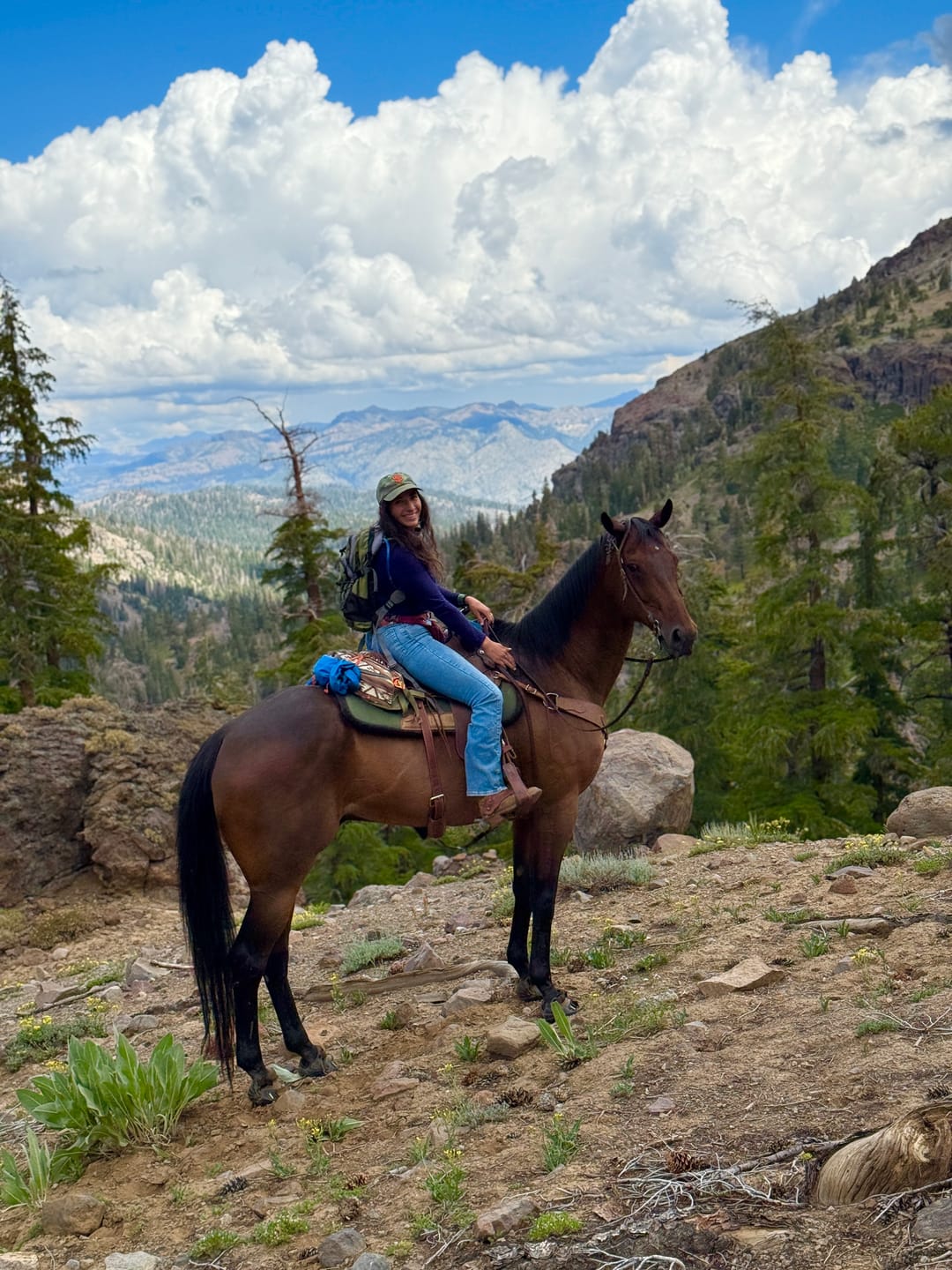 Customer photo review of Renegade® Viper Shield™ Hoof Boot Seconds - Black Knight