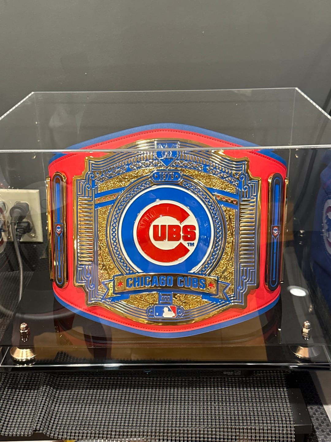 Customer photo review of Clear Acrylic Wrestling Belt Display Case (A014)