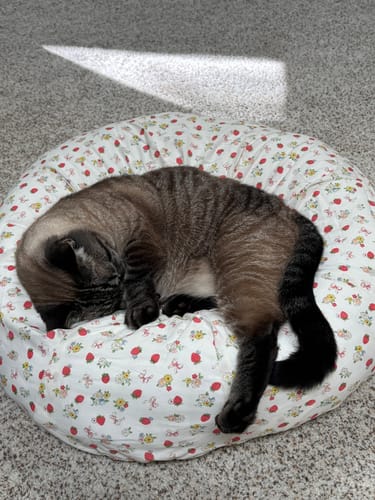 Customer photo review of Strawberry Jam Pudding Bed