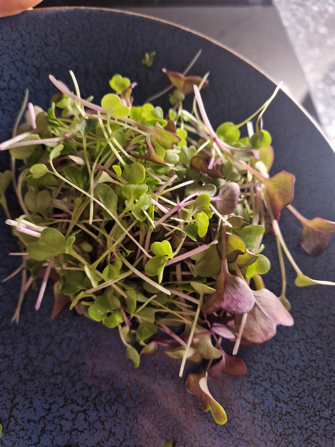 Customer photo review of Sprossenmix ‘Brotzeit’