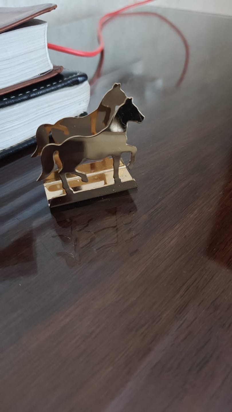 Customer photo review of Business Card Holder Horse