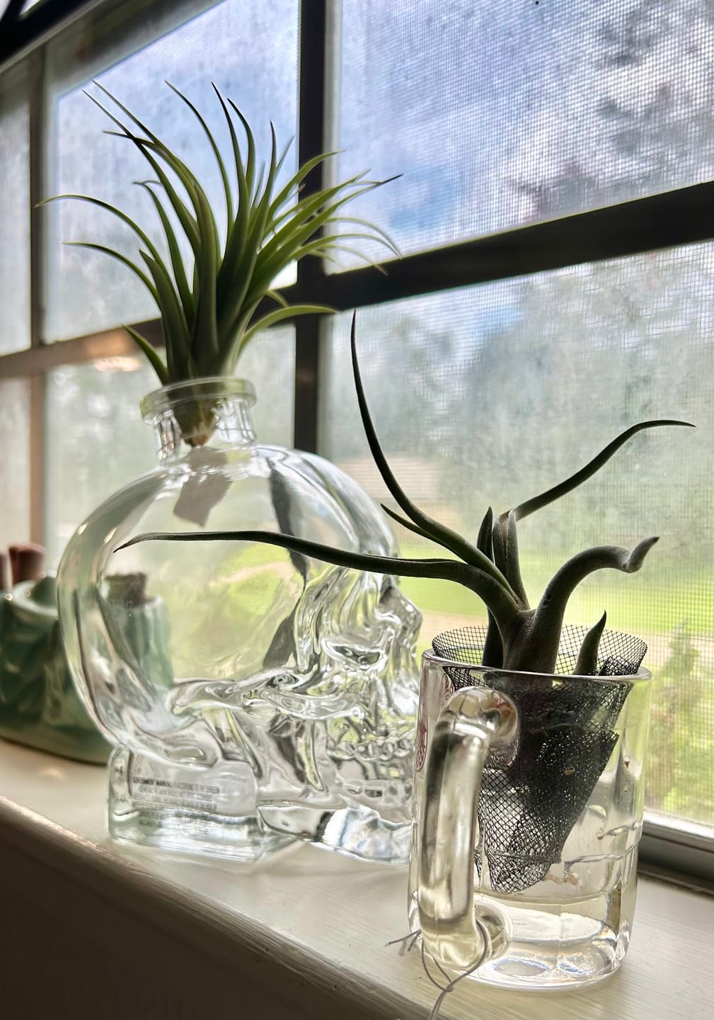 Customer photo review of Caput Medusae  (Beginner Friendly!)